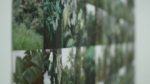 Videostill: Seitenansicht vieler quadratisch aneinandergereihter Fotografien von grünen Pflanzenwelten, das nach hinten hin verschwommen wird.